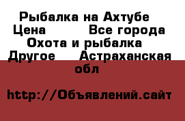 Рыбалка на Ахтубе › Цена ­ 500 - Все города Охота и рыбалка » Другое   . Астраханская обл.